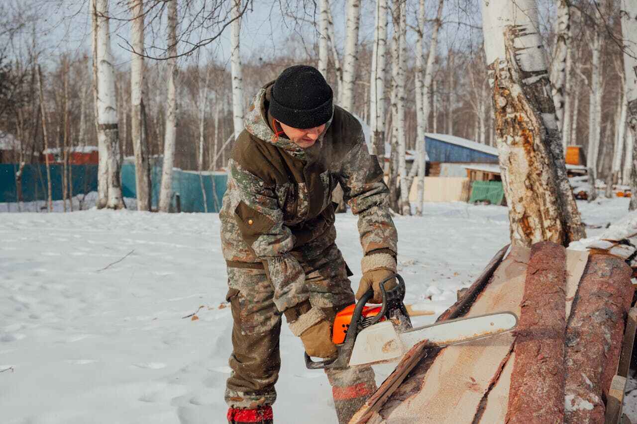 Tree Root Removal in Cross Plains, TX